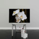 Tablou Canvas White Phalaenopsis Flower