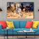 Tablou Canvas Wild Horses