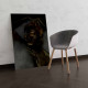 Tablou Canvas Gold Sleep