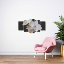 Tablou MultiCanvas 5 piese White Phalaenopsis Flower