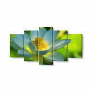 Tablou MultiCanvas 5 piese Lotus Flower