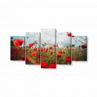 Tablou MultiCanvas 5 piese Poppies in the Wheat Field