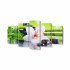 Tablou MultiCanvas 5 piese Spa Stones and White Orchid