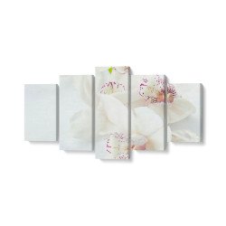 Tablou MultiCanvas 5 piese White Orchids With Purple
