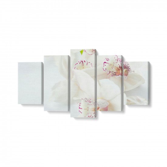 Tablou MultiCanvas 5 piese White Orchids With Purple Tablou MultiCanvas 5 piese White Orchids With Purple