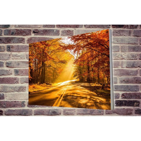 Tablou Forex Autumn Road to Forest