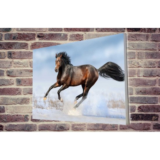 Tablou Forex Bay Horse in Snow