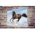 Tablou Forex Bay Horse in Snow