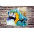 Tablou Forex Blue Parrot