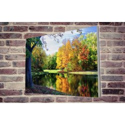 Tablou Forex Colorful Trees Reflections