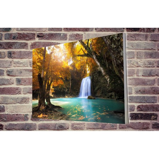 Tablou Forex Deep Forest Waterfall
