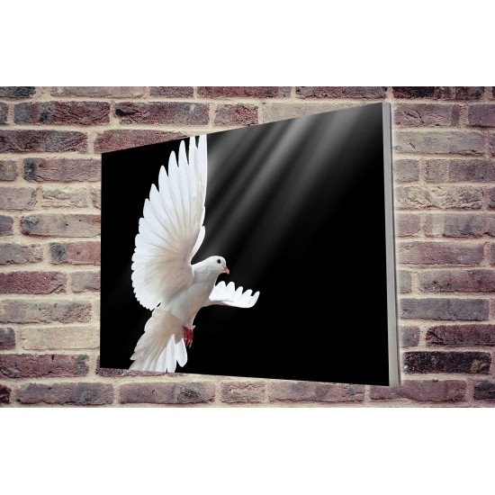 Tablou Forex Dove in Flight