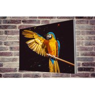 Tablou Forex Exotic Parrot