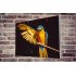 Tablou Forex Exotic Parrot