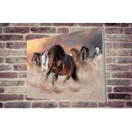 Tablou Forex Horse Herd Run in Desert