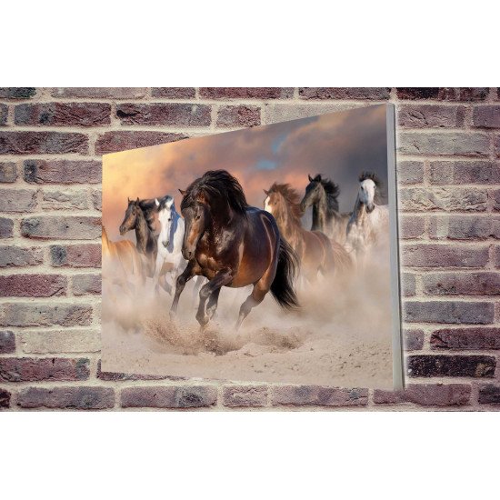 Tablou Forex Horse Herd Run in Desert Tablou Forex Horse Herd Run in Desert