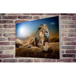 Tablou Forex Lion King