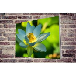 Tablou Forex Lotus Flower