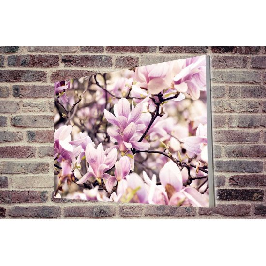 Tablou Forex Magnolia