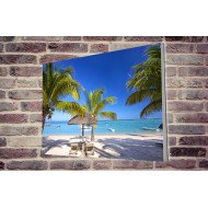 Tablou Forex Mauritius Palm Beach