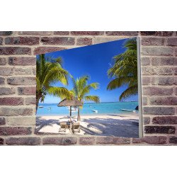 Tablou Forex Mauritius Palm Beach