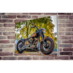 Tablou Forex Motorcycle Harley Davidson