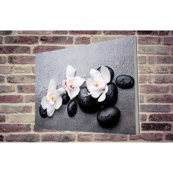 Tablou Forex Orchids on Black Stones