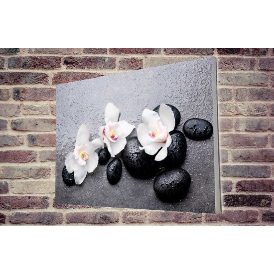 Tablou Forex Orchids on Black Stones