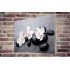 Tablou Forex Orchids on Black Stones