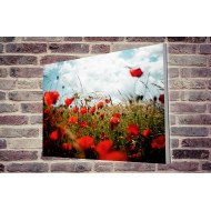 Tablou Forex Poppies in the Wheat Field