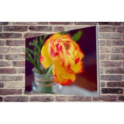 Tablou Forex Ranunculus Flower