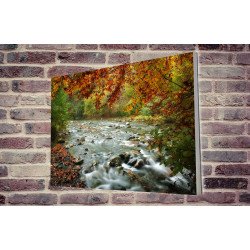 Tablou Forex River in Autumn