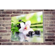 Tablou Forex Spa Stones and White Orchid