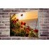 Tablou Forex Sunset with Poppy Flowers