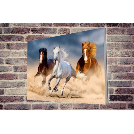 Tablou Forex Three Horse in Desert