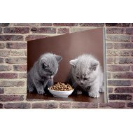 Tablou Forex Two Cats Eating