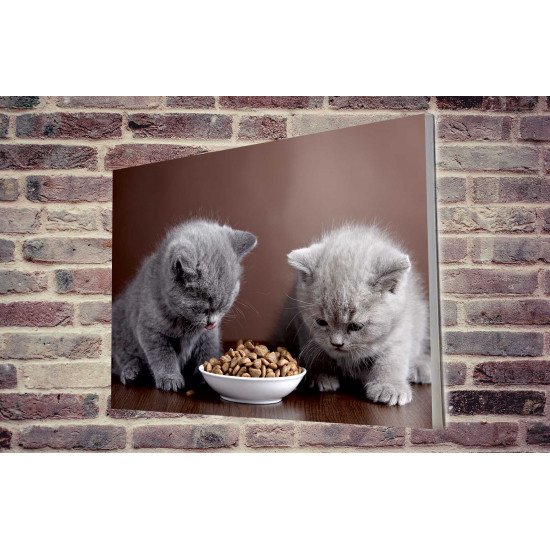 Tablou Forex Two Cats Eating Tablou Forex Two Cats Eating