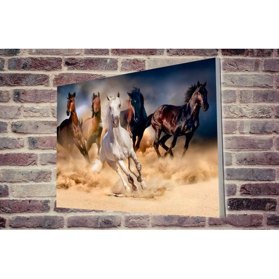 Tablou Forex Wild Horses