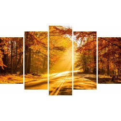 Tablou Forex 5 piese Autumn Road to Forest