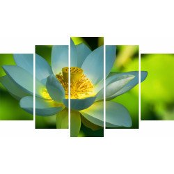 Tablou Forex 5 piese Lotus Flower