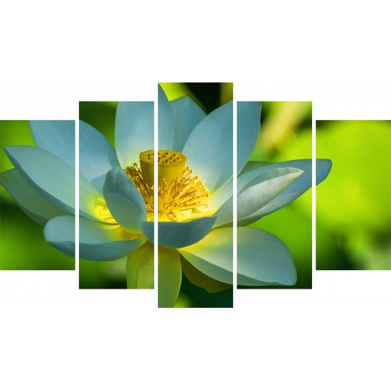 Tablou Forex 5 piese Lotus Flower