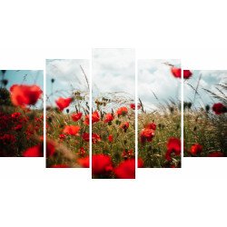 Tablou Forex 5 piese Poppies in the Wheat Field