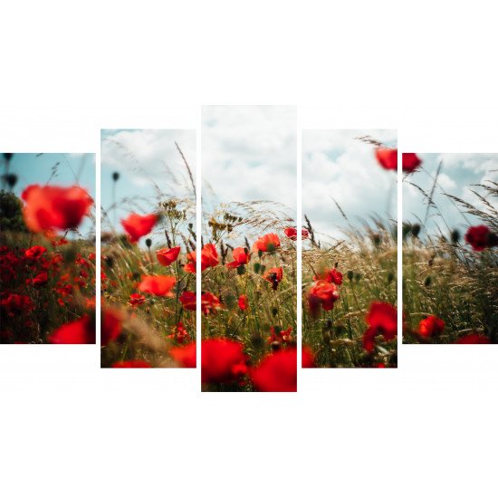 Tablou Forex 5 piese Poppies in the Wheat Field