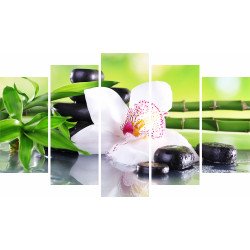 Tablou Forex 5 piese Spa Stones and White Orchid