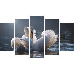 Tablou Forex 5 piese Swans in Love Tablou Forex 5 piese Swans in Love