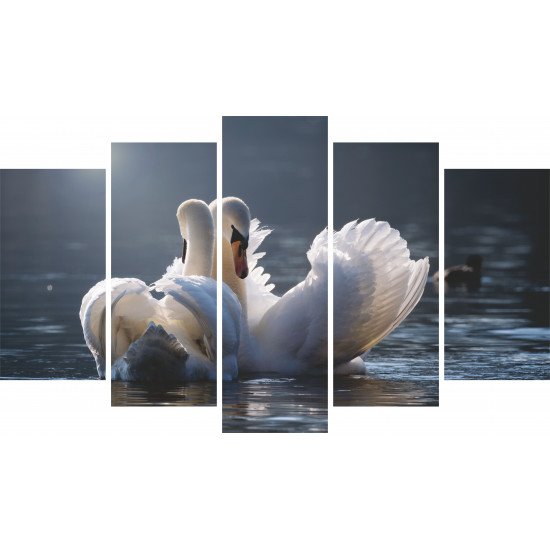 Tablou Forex 5 piese Swans in Love