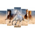 Tablouri MultiForex cu Animale