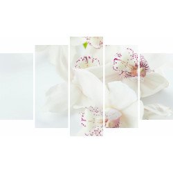 Tablou Forex 5 piese White Orchids With Purple