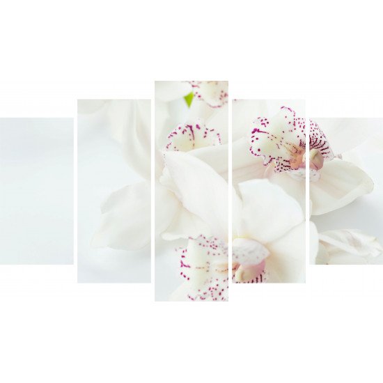 Tablou Forex 5 piese White Orchids With Purple