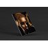 Tablou Forex Gold Splash